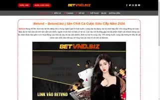 Betvnd.biz Screenshot 2024-06-15 11:04:44