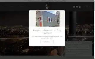 Thetravelingchick.com Screenshot 2024-04-17 19:46:53