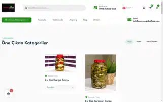 Onursoyglobalfood.com Screenshot 2024-05-29 06:29:17