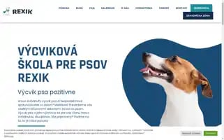 Rexik.eu Screenshot 2024-06-16 00:24:04