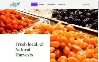 Amamafoods.com Screenshot 2024-05-22 16:27:46