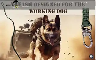 Heavendropt.org Screenshot 2024-07-02 06:27:19