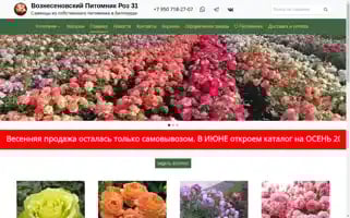 Rozavoznesenovka31.ru Screenshot 2024-05-22 03:12:19