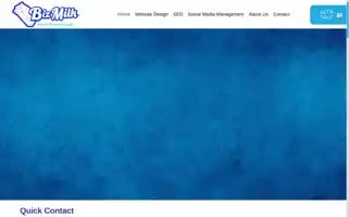 Bizmilk.com Screenshot 2024-06-13 08:58:13