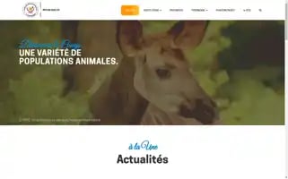 Republique.cd Screenshot 2024-06-18 07:38:26