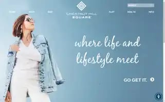 Chestnuthillsquare.com Screenshot 2024-07-01 12:08:57