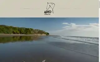 Ariotours.com Screenshot 2024-04-17 14:53:22