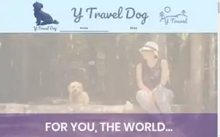 Ytraveldog.com Screenshot 2024-04-15 17:15:18