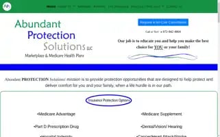 Abundantprotectionsolutions.com Screenshot 2024-07-06 14:02:15