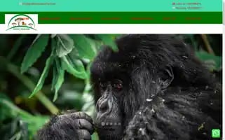 Gorillatourseastafrica.com Screenshot 2024-04-25 08:44:50