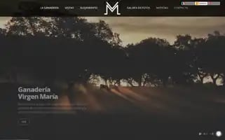 Ganaderiavirgenmaria.com Screenshot 2024-06-28 11:15:15