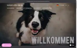 Natalieslittledream.com Screenshot 2024-05-02 03:22:19