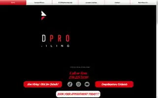 Diamondprodetailing.com Screenshot 2024-05-15 20:02:40