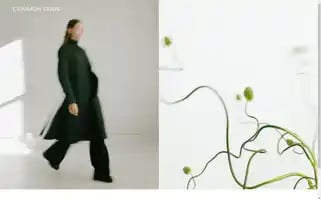 Commonodds.com Screenshot 2024-05-05 05:16:33