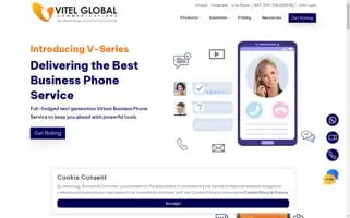 Vitelglobal.com Screenshot 2024-07-06 21:53:17