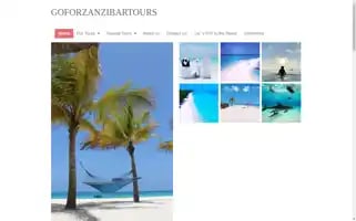 Goforzanzibartours.com Screenshot 2024-04-19 06:09:54