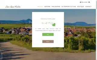 Vinsmauler.fr Screenshot 2024-05-21 06:59:13