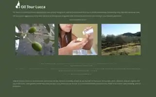 Oiltourlucca.com Screenshot 2024-04-24 00:53:50