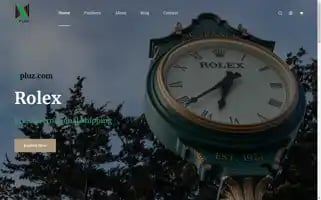 Npluz.com Screenshot 2024-05-29 12:45:56
