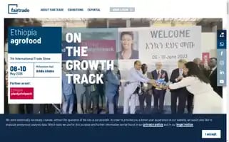Agrofood-ethiopia.com Screenshot 2024-06-13 18:45:24