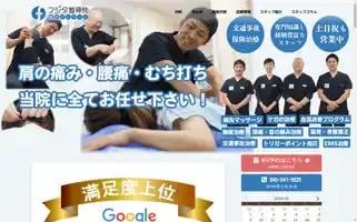 Fujitaseikotsuin.com Screenshot 2024-06-13 20:34:02