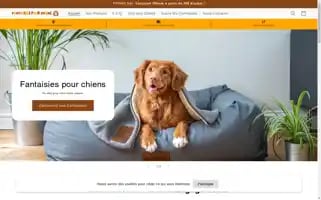Fantaisiespourchiens.com Screenshot 2024-05-02 07:45:13