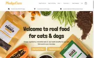 Pledgecare.org Screenshot 2024-06-11 06:44:20