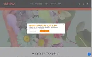 Tantusinc.com Screenshot 2024-06-28 18:40:27