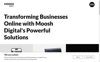 Mooshdigital.com Screenshot 2024-06-18 12:09:47