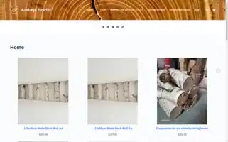Andreja-studio.com Screenshot 2024-05-24 06:55:06