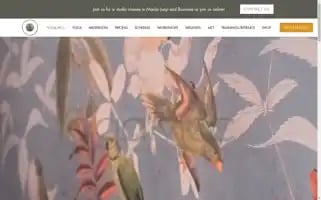 Yogamcc.com Screenshot 2024-05-15 08:42:14