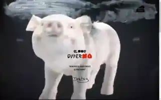 Diverxo.com Screenshot 2024-07-10 02:38:47
