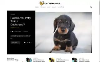Ilovedachshunds.com Screenshot 2024-06-15 13:29:46