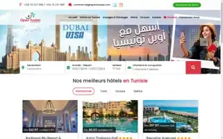 Opentunisia.tn Screenshot 2024-06-30 10:02:19