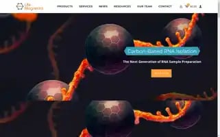 Magnetics.life Screenshot 2024-06-12 16:00:24