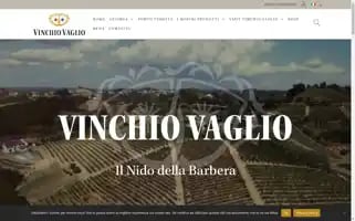 Vinchio.com Screenshot 2024-06-11 07:04:28