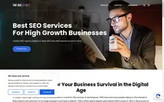 Theseostreet.com Screenshot 2024-05-24 00:20:39