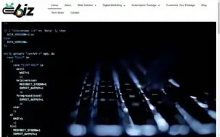 Ebiz-digital.com Screenshot 2024-06-18 07:05:41