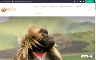 Amplitudetravelethiopia.com Screenshot 2024-04-25 06:10:50