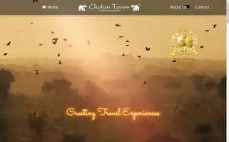 Cholantours.com Screenshot 2024-04-15 07:20:40