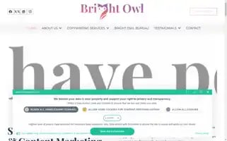 Brightowlcopywriting.com Screenshot 2024-07-01 01:26:15