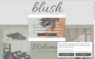 Blushsalonfargo.com Screenshot 2024-05-15 14:53:55