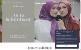 Texlascarf.com Screenshot 2024-04-23 08:07:35