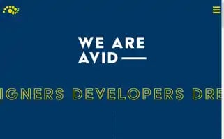 Avidonline.com Screenshot 2024-06-14 04:05:48