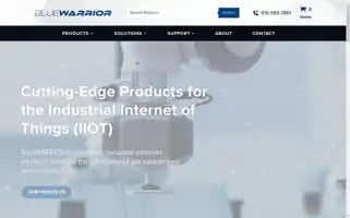 Bluewarrior.com Screenshot 2024-06-12 12:24:33