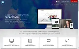 Cleverspider.com Screenshot 2024-06-13 03:02:34