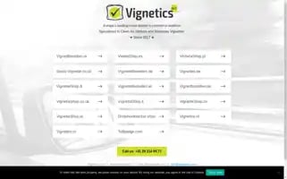 Vignetics.com Screenshot 2024-06-16 11:21:42