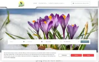 Awesomevacationhomesinc.com Screenshot 2024-04-17 14:48:07