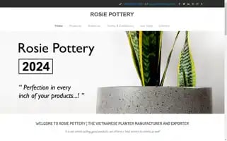 Rosiepottery.com Screenshot 2024-06-12 05:30:59