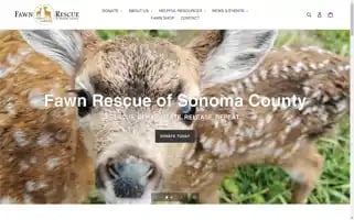 Fawnrescue.org Screenshot 2024-05-05 10:45:13